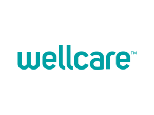wellcarex300updated wellcarex300updated
